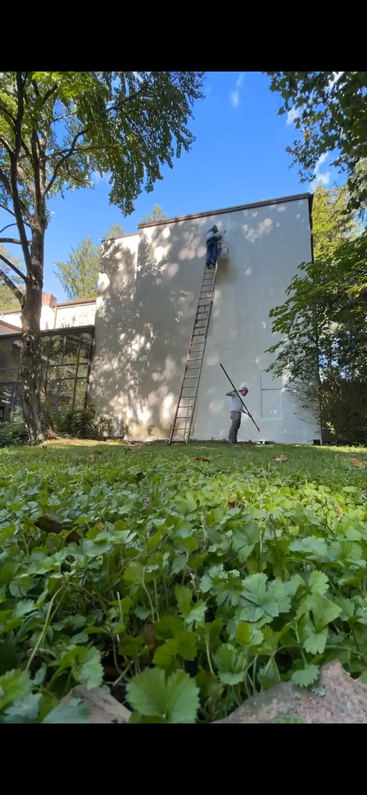 Exterior of a painted building surrounded by mature trees